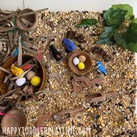 Spring Sensory Bins for Kids