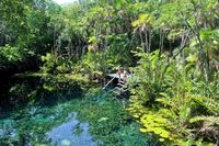 Top 10 Non-Touristy Cenotes In Mexico [2021 UPDATE] — DEWILDESALHAB武士