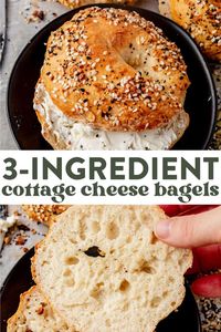 These 3-ingredient cottage cheese bagels will be your new obsession. Make them in the oven or the air fryer and enjoy them as a healthy, savory snack (or part of a sandwich) any time of day!