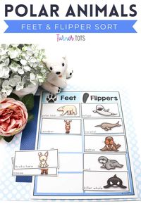 Dive into the fascinating world of polar animals with this "Feet vs. Flipper Sort" activity! This hands-on experience is perfect for preschoolers to explore the unique adaptations of Arctic creatures. Let their curiosity soar as they discover how different animals like penguins, seals, and polar bears have evolved to navigate their icy habitats. Come join the fun and embark on a journey through the frozen wilderness. Download this Arctic animal adaptation activity today!