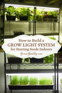 How to assemble a Grow Light System for Starting Seeds Indoors for around $100! | Grow a Good Life