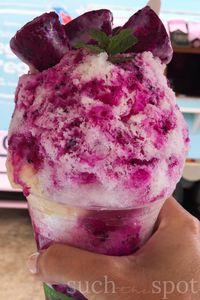 After visiting every notable shave ice stand on the island, we came away with a standout winner for the best shave ice in Kauai. This guide will help you decide which shave ice stands are worth trying.