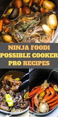 Ninja Foodi Possible Cooker Pro is a must-have kitchen gadget from the Ninja brand. It’s designed to handle various cooking jobs without the need for multiple appliances. While it’s not a pressure cooker, it boasts other useful functions like slow cooking, frying, and more.