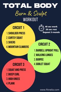 Use this workout on your next total body day at HOME or GYM! We also use this workout in our group classes (follow the link)