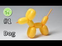 Dog - Balloon Animals for Beginners #1 / バルーンアートの基本 #1 (犬) - YouTube