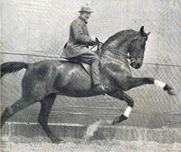 Capt. William Heyer on the horse "YO YO" that he brought to this country, preceeding the saddle bred mare, "Starless Night"