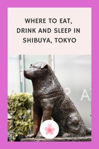 It's most famous for the scramble crossing and the statue of Hachiko the dog, but they are just two of the fun things you can see, eat or do in Shibuya. Our guide to this fun area of Tokyo gives you a list of the others. Add to your Tokyo travel guide or Japan itinerary planning boards for when you're ready to spend the day in Shibuya.