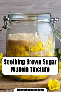 I found this amazing blog post about Mullein, and it turns out there's a potent tincture made from this plant! If you're interested in natural remedies, you should definitely check it out. Now, to decide between the tea or the tincture… 🤔 #MulleinTea #MulleinTincture