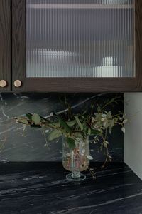 frosted glass cabinet door, black natural stone countertop and backsplash, kitchen greenery