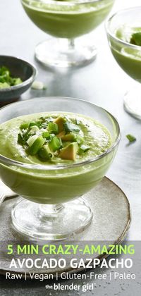 Incredible Avocado Gazpacho - The Blender Girl