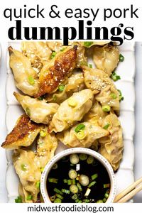 Pan Fried Pork Dumplings | Just over 30 minutes from start to finish these pork dumplings are simple, satisfying and loaded with flavor! They're crispy yet tender making them the perfect main course or party appetizer!