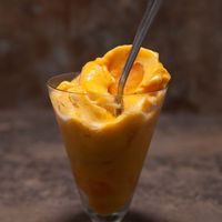 Persimmon Ice Cream. No Dairy, No Sugar, No Time. Fast Fast Fast! recipe on Food52