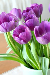 Purple tulips in a vintage mint green vase for spring - my favorite spring decorating idea!