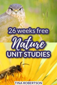 26 free nature unit studies for multiple ages. Easy nature unit studies as a way to make science come alive. Nature unit studies not only revive burn out in students, but they’re cost effective and memorable. CLICK HERE to grab 26 free homeschool nature unit studies for multiple ages that can easily be used for a year as free curriculum!