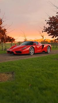 Ferrari Enzo