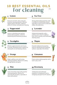 10 best essential oils for cleaning, aromatherapy, science of essentials, spring cleaning, DIY