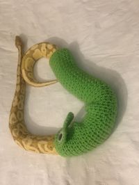 This adorable crocheted snake sweater is a fun little tube for your noodle <3 choose the diameter and length in the variations menu :) Great enrichment for your snake! Not for providing warmth Jude not included :) PLEASE MAKE SURE YOUR ADDRESS IS UPDATED! if your order comes back to me because you put in the wrong address you will be responsible for the cost to ship it back out** **I ship orders tuesdays and fridays ** Comes from a pet loving smoke free home