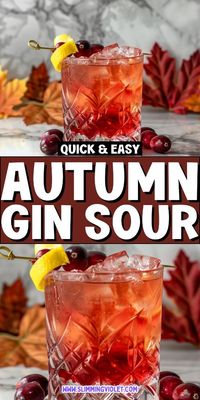 The Autumn Gin Sour combines tangy citrus with rich fall flavors for a delightful cocktail. Easy to make and perfect for chilly evenings! Check out the recipe and save this pin for your next fall party.