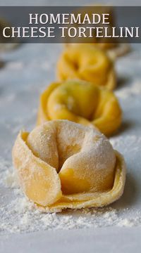 Homemade Cheese Tortellini starts with great homemade pasta. This cheese tortellini is filled with ricotta, Parmesan and fresh spinach. This is a step-by-step guide to making the perfect dough and turning it into tortellini. #homemadetortellini #cheesetortellini #ricottatortellini #homemadepasta