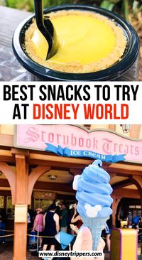 20 Best Disney Snacks To Eat In The Parks - Disney Trippers