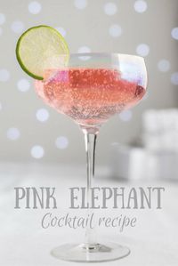 Pink Elephant Cocktail Recipe