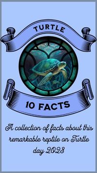 World Turtle day aims to highlight the challenges faced by turtles worldwide and encourage individuals to take action to safeguard these remarkable reptiles for future generations.