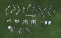 Mod The Sims - Skeletal remains in various states.