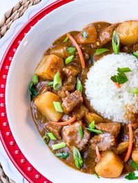 Cajun Stew Beef Fricot-Creole Contessa - Creole Contessa