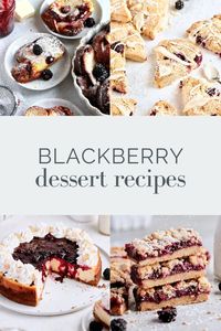 Blackberry Almond Cheesecake, Baked Blackberry Mascarpone French Toast, Lemon Blackberry Loaf Cake, Blackberry White Chocolate Scones… I love baking with blackberries right now during the peak season! If you do too, all of these recipes are live on my baking blog.

Save this pin to start with my fan-favorite Blackberry Pie Bars, or search the Tutti Dolci archives for more blackberry desserts!