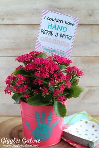 We think moms are the best ever, hands down! And we are certain that this adorable DIY project will hands down be the best Mother's Day gift she receives this year. #mothersday