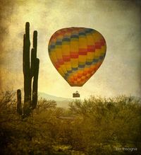 Hot Air Balloon Flight over the Desert