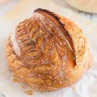 Gluten-Free Sourdough Bread - Living Chirpy