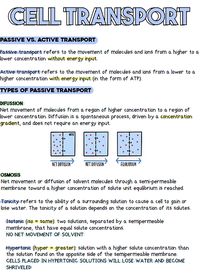 STEMthusiast | BIOLOGY NOTES