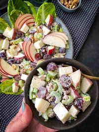 Ready in 15 minutes, classic Waldorf salad recipe is a deliciously easy salad you will be making over and over again. A simple mixture of crisp apples, celery, grapes and walnuts tossed together with a creamy homemade mayonnaise dressing, we guarantee this will be a crowd pleaser.