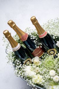 Celebrate Spring with our Spring Trio of sparkling wines including 2018 Blanc de Blancs, 2018 Alquimia Rosé, and the Vista Brut. The ultimate wine to pair with a perfect spring day - available for a limited time. Gloria Ferrer Sparkling Winery in Sonoma, California.