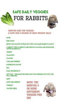 A list of safe vegetables to feed your rabbit #veggies #bunny #rabbits #list