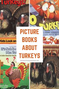 Are you looking for a few fun and fabulous turkey books for preschool? Then you have to check out these fantastic fiction and nonfiction turkey books!