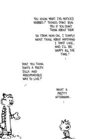 calvin hobbes