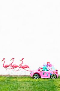 Lawn flamingo sleigh // studio diy |  @cecily_ilana