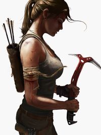 Tomb Raider by Matthew Sweeney