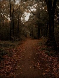 fall aesthetic autumn cozy rory gilmore vibes