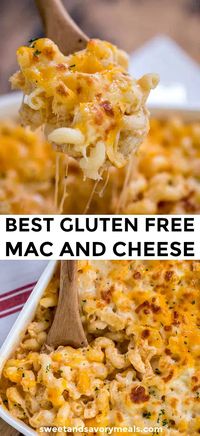 Gluten Free Mac and Cheese is creamy and delicious and the perfect comfort food for busy weekdays. #macandcheese #glutenfree #glutenfreerecipes #pasta #casserole #sweetandsavorymeals