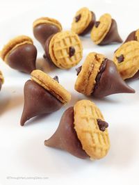 Easy Peanut Butter and Chocolate Acorns - Through Her Looking Glass