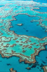 The large 2,000-kilometer-long formation of coral reefs can be seen from space, such is its extent. A UNESCO World Heritage Site, Australia's Great Barrier Reef is the largest coral reef in the world. #australia