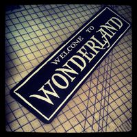 Hey, I found this really awesome Etsy listing at https://www.etsy.com/listing/170321406/welcome-to-wonderland-sign