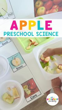 Dive into apple-themed fun with this 5-day curriculum! Includes an apple stand dramatic play center, sensory bins, crafts, and fine motor activities. Perfect for preschool, homeschool, and childcare! #PreschoolActivities #AppleTheme #PrintableResources