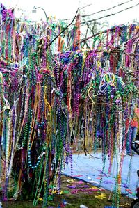 Mardi Gras Bead Tree