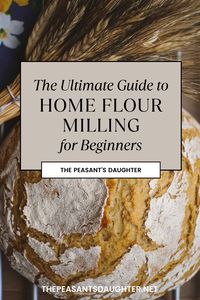 Dive into the world of home milling with our comprehensive guide. Learn the basics of turning grains into flour, the benefits of freshly milled flour for your health and taste buds, and easy steps to start your journey. Discover the best grains for milling, essential tools, and tips to perfect your flour every time. Join the home milling revolution and elevate your baking with the freshness only home-milled flour can provide.