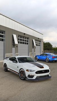 Ford Mustang Mach 1 Handling Package 2021 Engine: 5.0L V8 Power: 358 kW / 487 hp Torque: 569 Nm / 420 lb-ft 0-60 mph: 4.2 seconds Top Speed: 270 kph / 168 mph