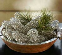 Pine cones painted with Krylon Looking Glass Silver.